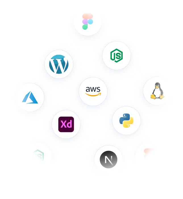 affordable web design and development services